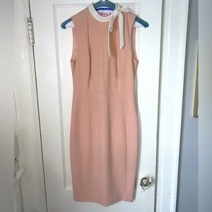 Calvin Klein Sheath Dress Size 2